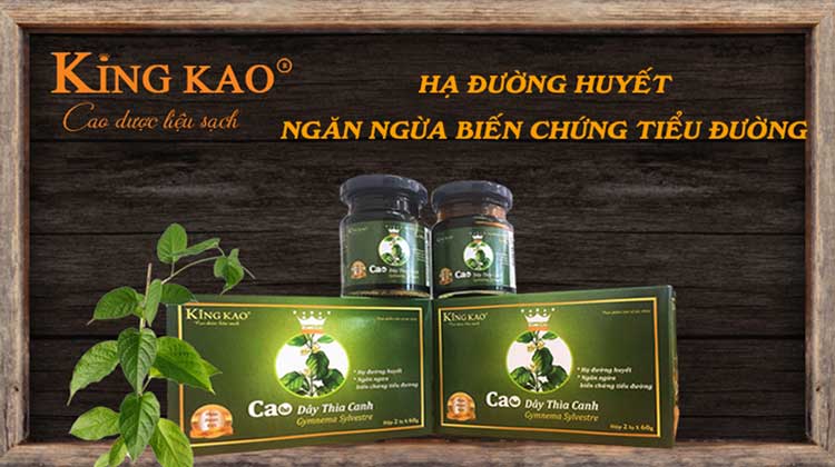 Cao dây thìa canh Kinh Kao ngăn ngừa biến chứng bệnh tiểu đường