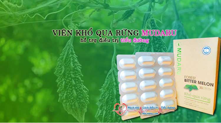 Khổ qua rừng mudaru hỗ trợ điều trị bệnh tiểu đường